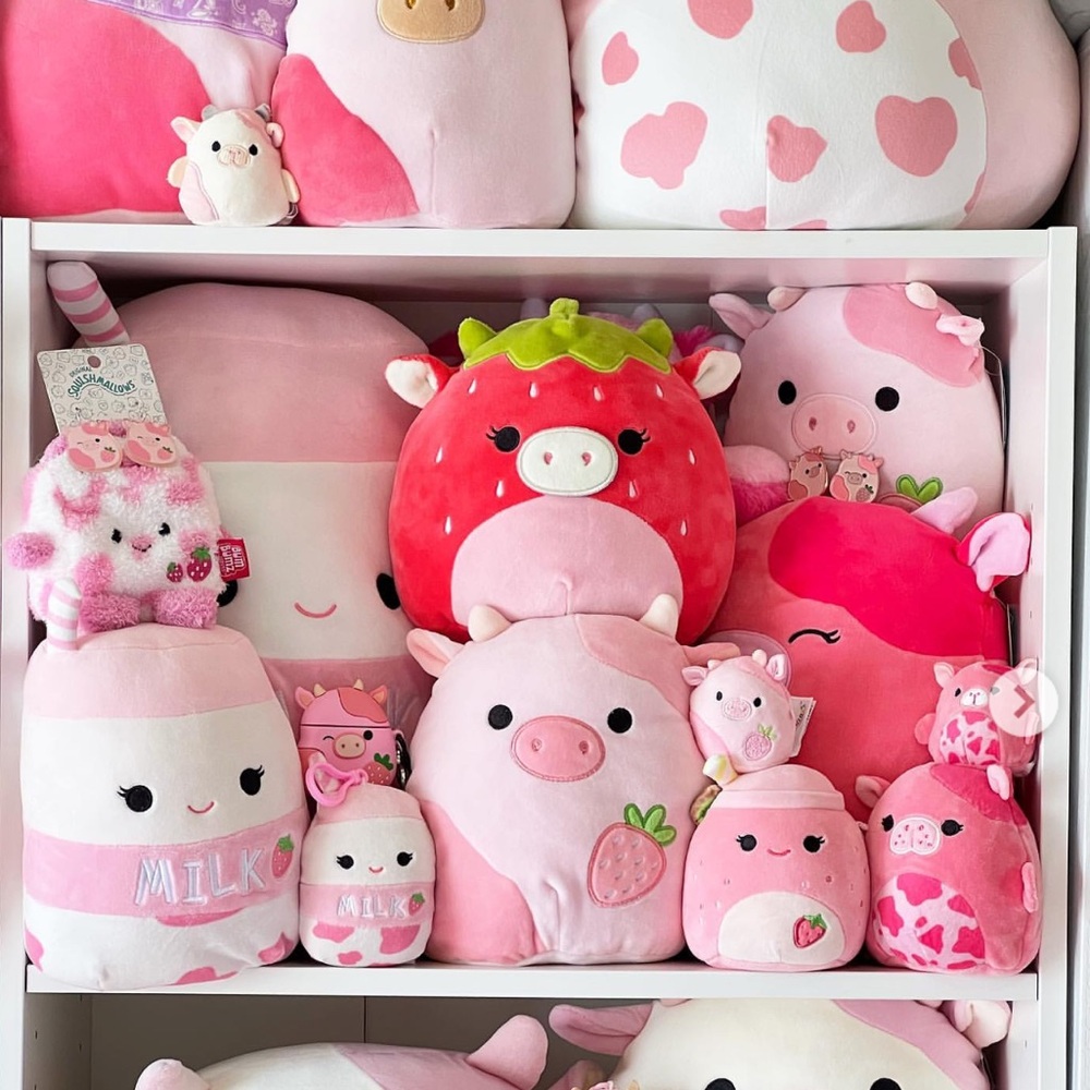 💜Unlisted Squishmallow💜